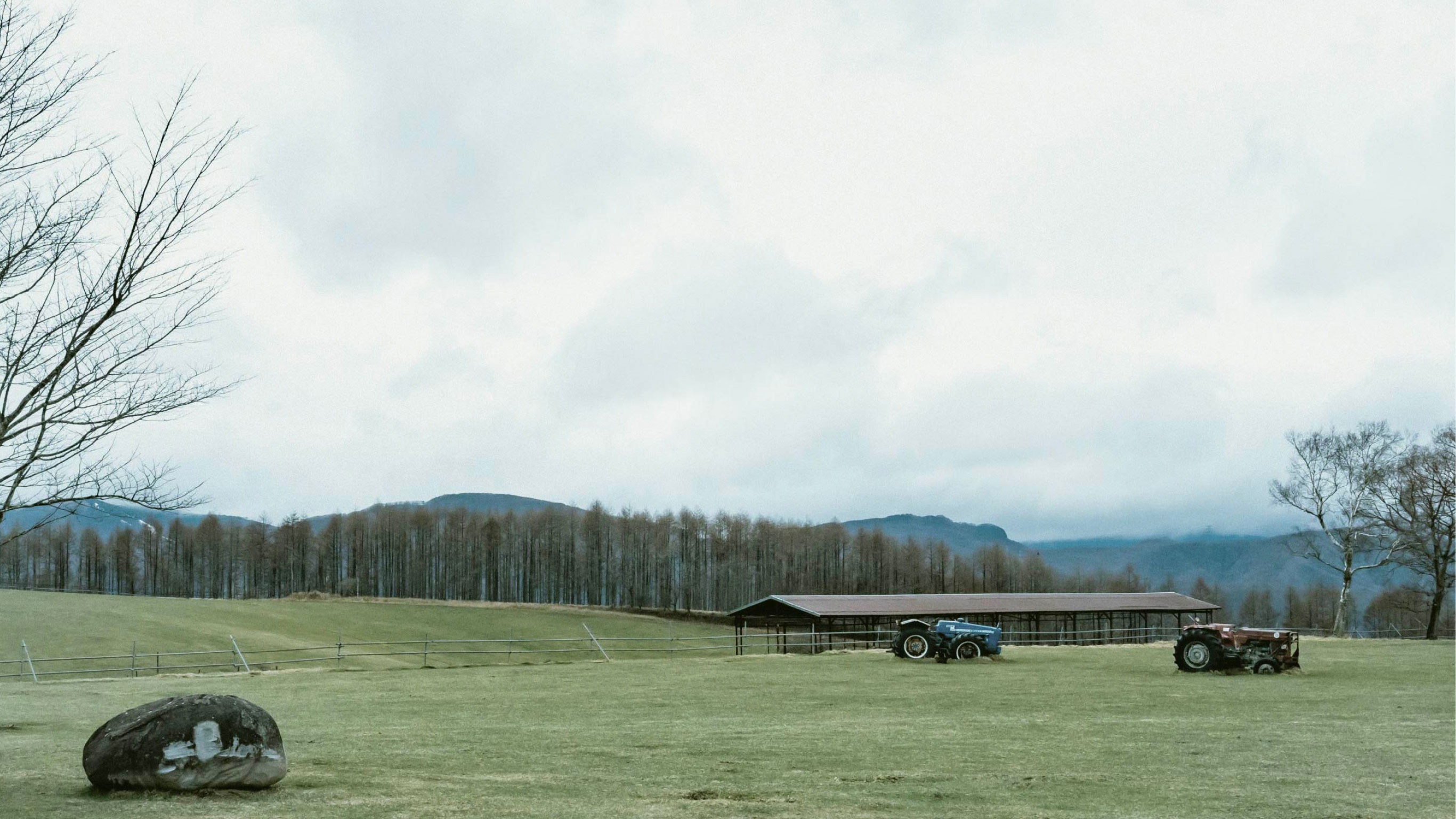 食を考えると土にたどり着く