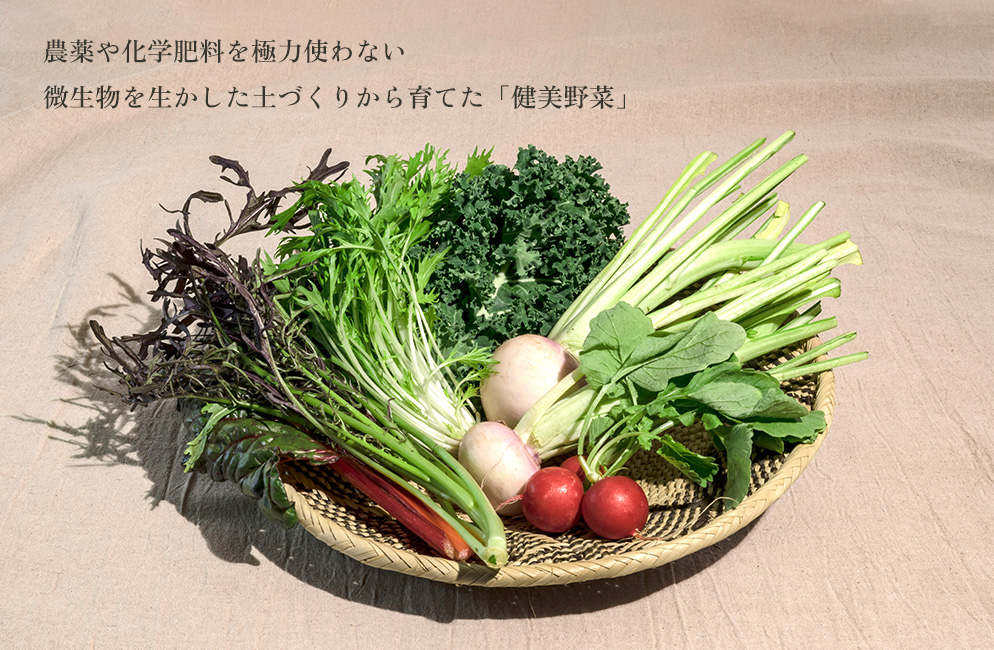農薬や化学肥料を極力使わない微生物を生かした土づくりから育てた「健康野菜」